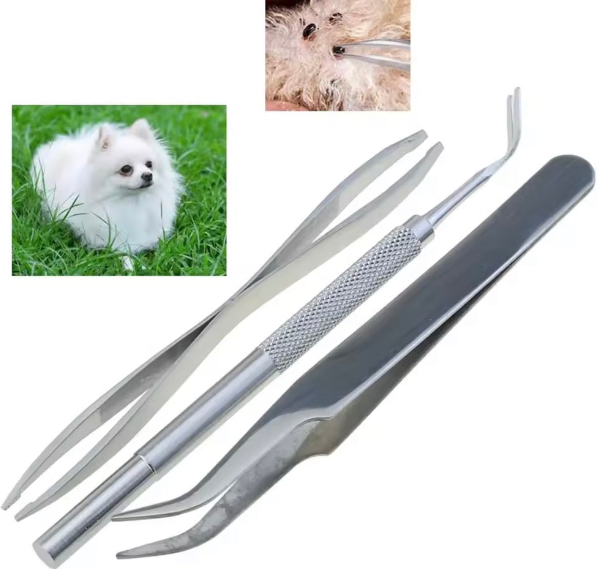 Gatto y Cane - Tool Kit ImDouce™